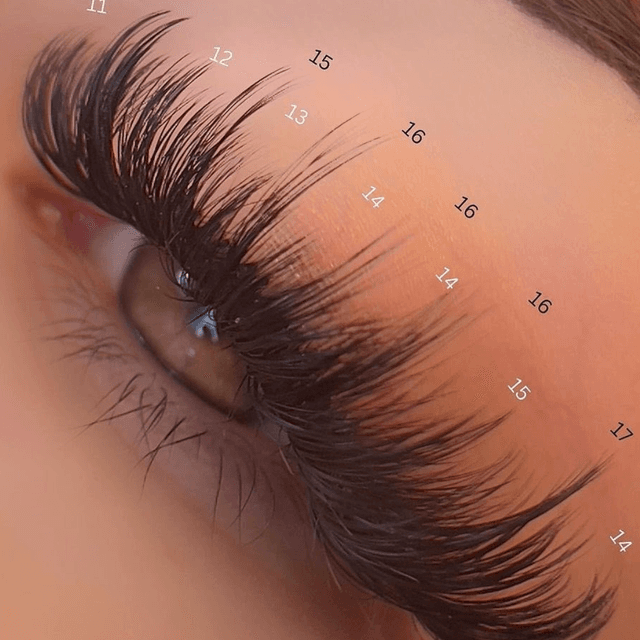 The Flawless Fill Club— LASH PASS